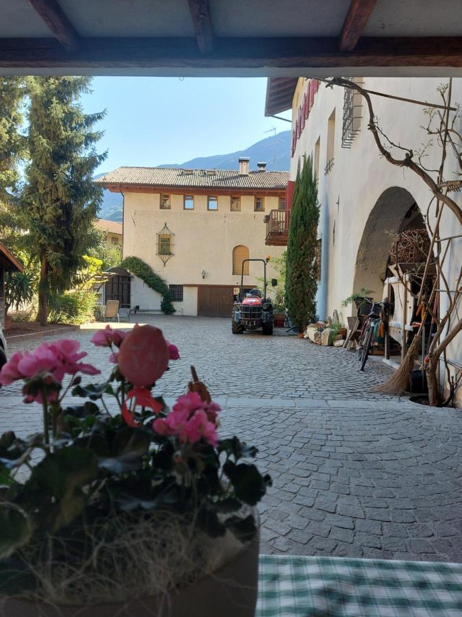 Appartamento Ansitz Von Wohlgemuth Salorno Esterno foto