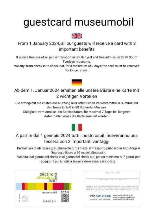 Appartamento Ansitz Von Wohlgemuth Salorno Esterno foto
